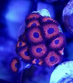 20161219_150621.jpg