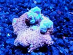 IMG_20171228_164003.jpg