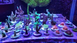 20180319_151359-01.jpg