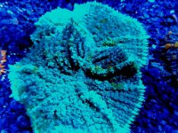 IMG_20171228_164045.jpg