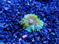 IMG_20171228_164209.jpg
