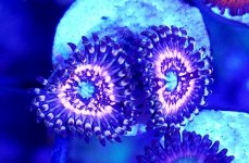 20161219_150451.jpg