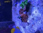 1kx18ziGS16Uf+yOa90lIw.jpg