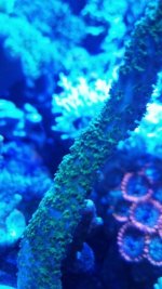 IMG_20171001_141335.jpg
