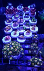 20161219_154814.jpg