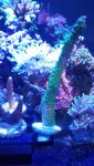 IMG_20171001_141110.jpg