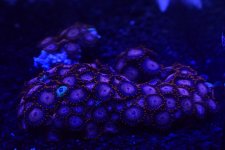 F51661B8-25B6-4295-81D8-8C6A8E8A5C3E.jpeg