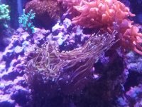 20161219_154348.jpg