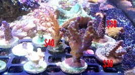 2017-09-27_21.25.04.jpg