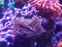20161219_154341.jpg