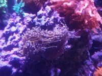 20161219_154340.jpg