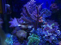 IMG_0045.jpg