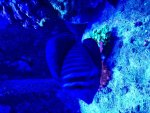 IMG_5079 2.jpg