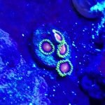 20170226_163732.jpg