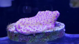 20161220_160416.jpg