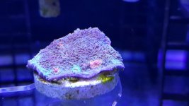20161220_160358.jpg