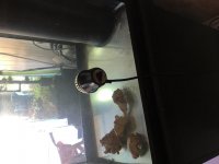 IMG_0900.jpg