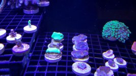 20161220_160611.jpg