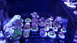 20161220_160628.jpg