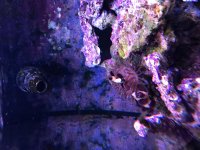 F2A25B0E-18B8-4D75-B938-C6570E1C0F84.jpg