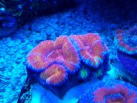 20170920_193011.jpg