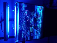 20170916_175925.jpg