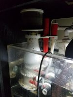 20170303_160101_resized.jpg