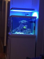 fish tank 1.jpg