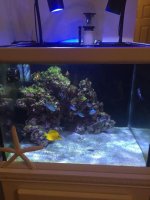 fish tank 2.jpg