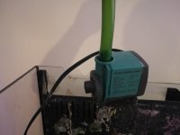 IMG_20170429_124614.jpg