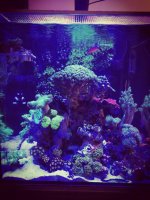 IMG_20170311_131256.jpg
