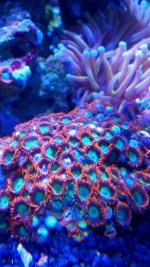 IMG_20171230_153018.jpg