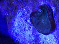 IMG_0380.jpg