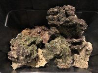 IMG_3281.jpg