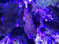 IMG_0384.jpg