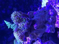 IMG_0385.jpg