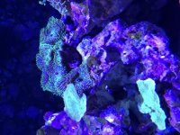 IMG_0386.jpg