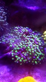 20171210_104140.jpg