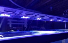 20161211_121734.jpg