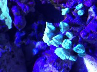 IMG_0387.jpg