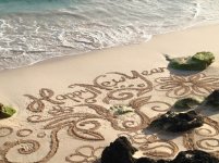 Bermuda-Beach-Art-Happy-New-Year-2.jpg