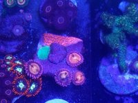 20170430_175908.jpg