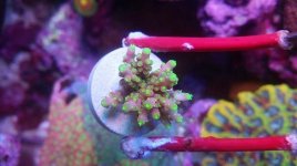 IMG_20180615_142305_687.jpg