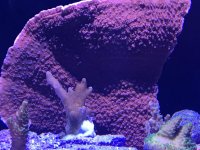 IMG_5453.jpg