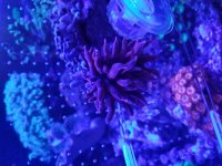 20180101_133236.jpg