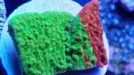 IMG_20170716_175807.jpg