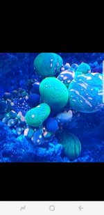 Screenshot_20170522-223213.jpg