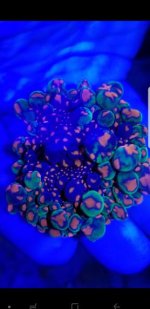 Screenshot_20180101-181226.jpg