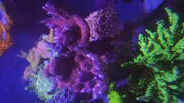 20180215_175848.jpg