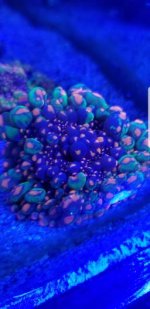 Screenshot_20180101-181431.jpg